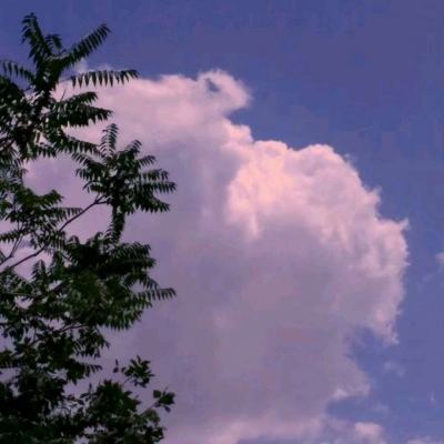 天机江湖手游官方版下载